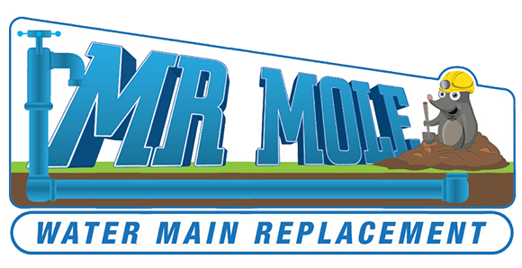 Mr Mole
